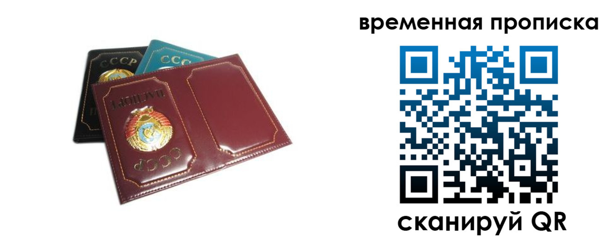 прописка 2025 в Шатуре